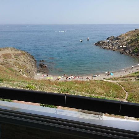 Apartament Portvendres Sea View Port Vendres Zewnętrze zdjęcie