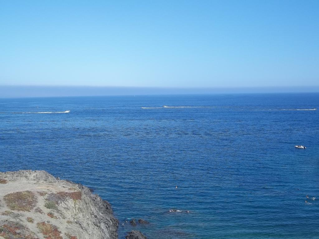 Apartament Portvendres Sea View Port Vendres Zewnętrze zdjęcie