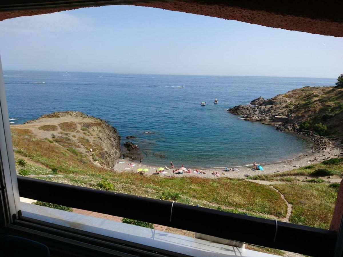 Apartament Portvendres Sea View Port Vendres Zewnętrze zdjęcie